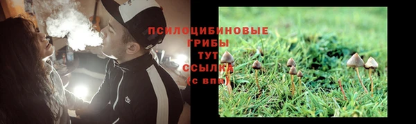 молекула духа Алзамай