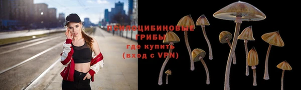 каннабис Алексеевка