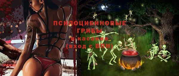 мдпв Покров