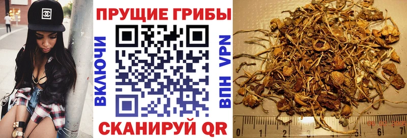 hydra ССЫЛКА  Светлоград  Псилоцибиновые грибы GOLDEN TEACHER 