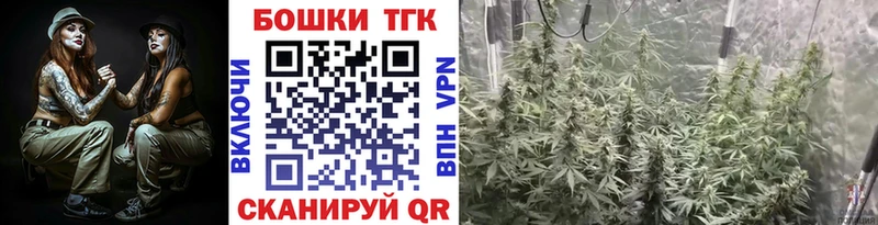 Бошки Шишки марихуана  Светлоград 